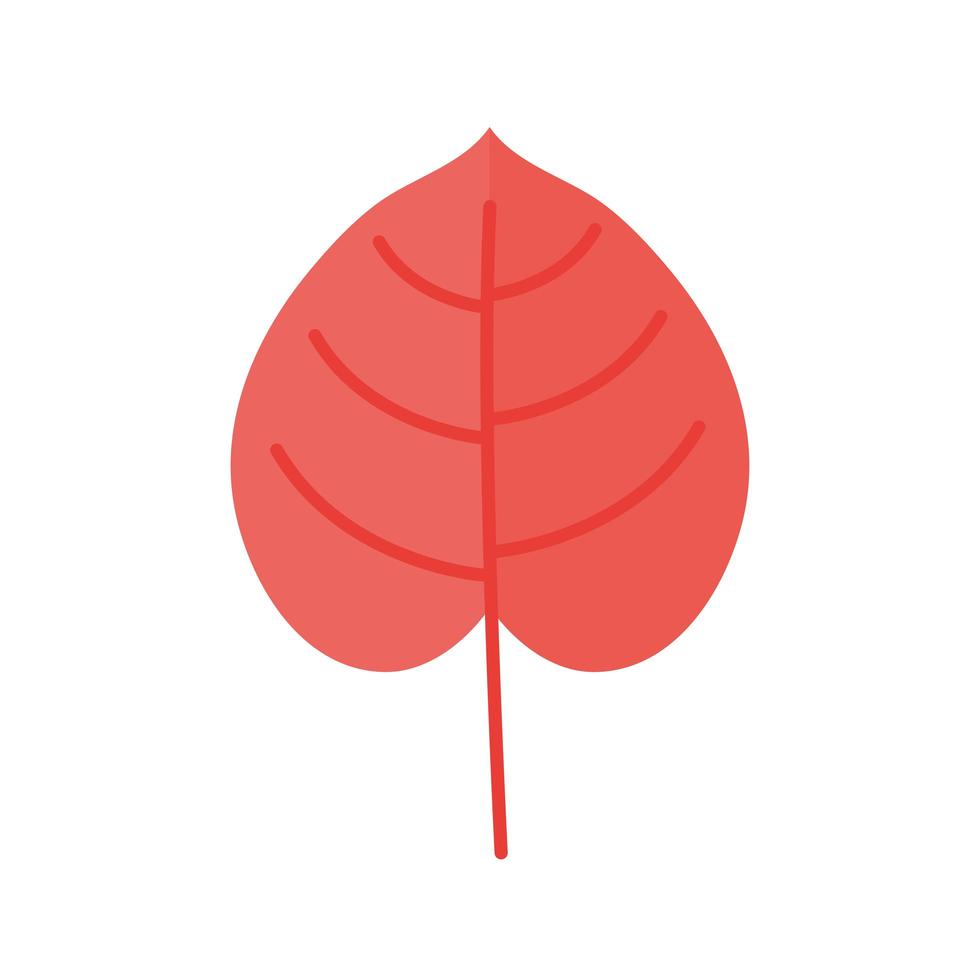 rött blad på en vit bakgrund vektor