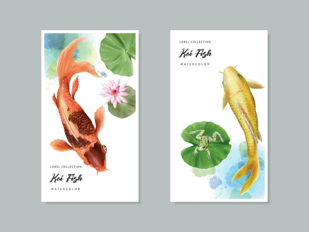 schön Koi Fisch Aquarell Etikette Sammlung vektor