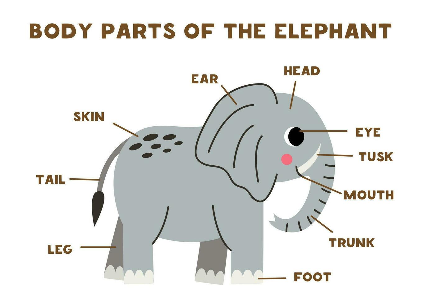 kropp delar av de söt grå elefant. schema för barn. vektor