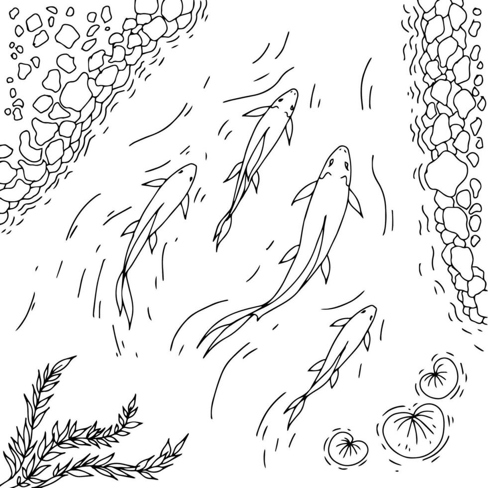 design koi guld fisk illustration silhuett översikt vektor