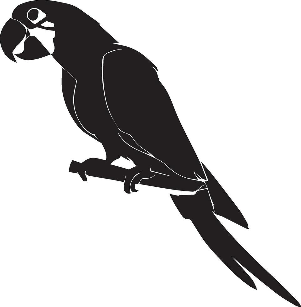 Papagei Vektor Silhouette Illustration