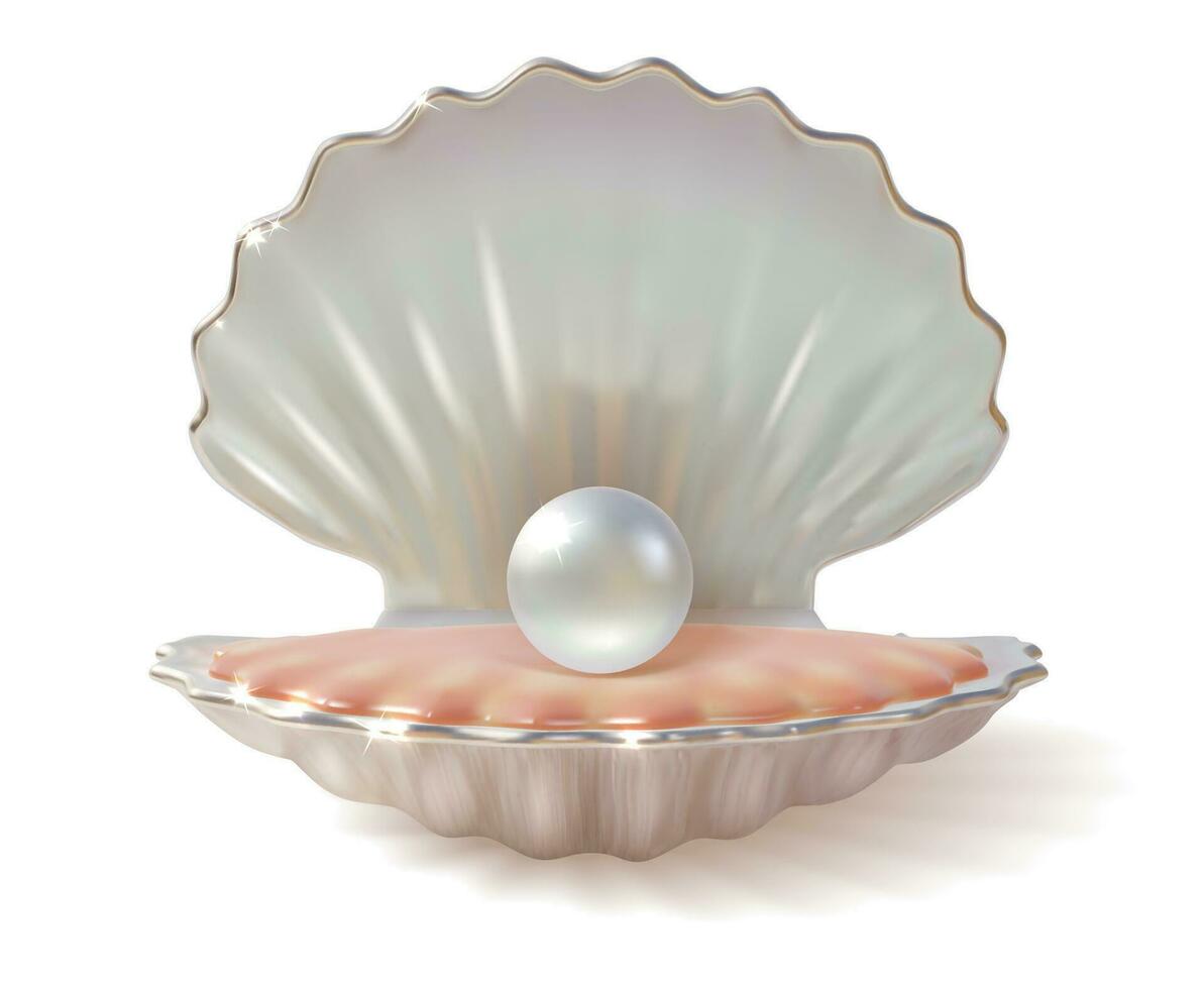 realistisch 3d detailliert glänzend Perle im Hülse. Vektor