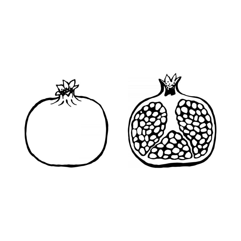 Vektor handgezeichneter Granatapfel, Obst. dekorative Retro-Stil-Sammlung landwirtschaftliche Produkte Restaurantmenü, Marktetikett