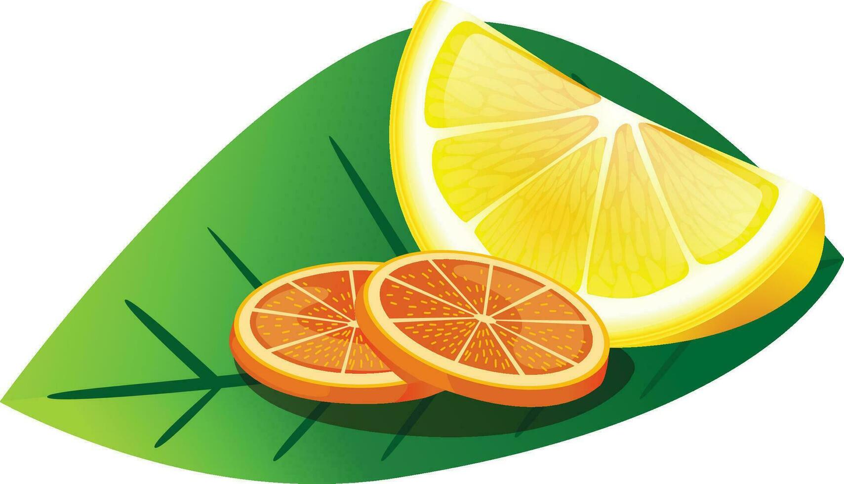 Orange Grapefruit Zitrone isolat vektor
