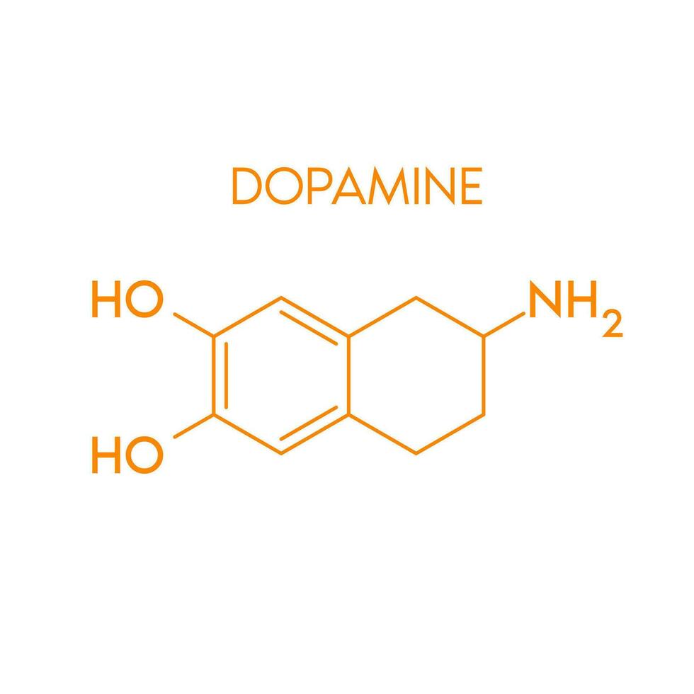 Dopamin strukturell chemisch Formel isoliert auf Weiß Hintergrund. Hormon Melatonin fördern tief schlafen. medizinisch wissenschaftlich Konzepte. Vektor eps10 Illustration.