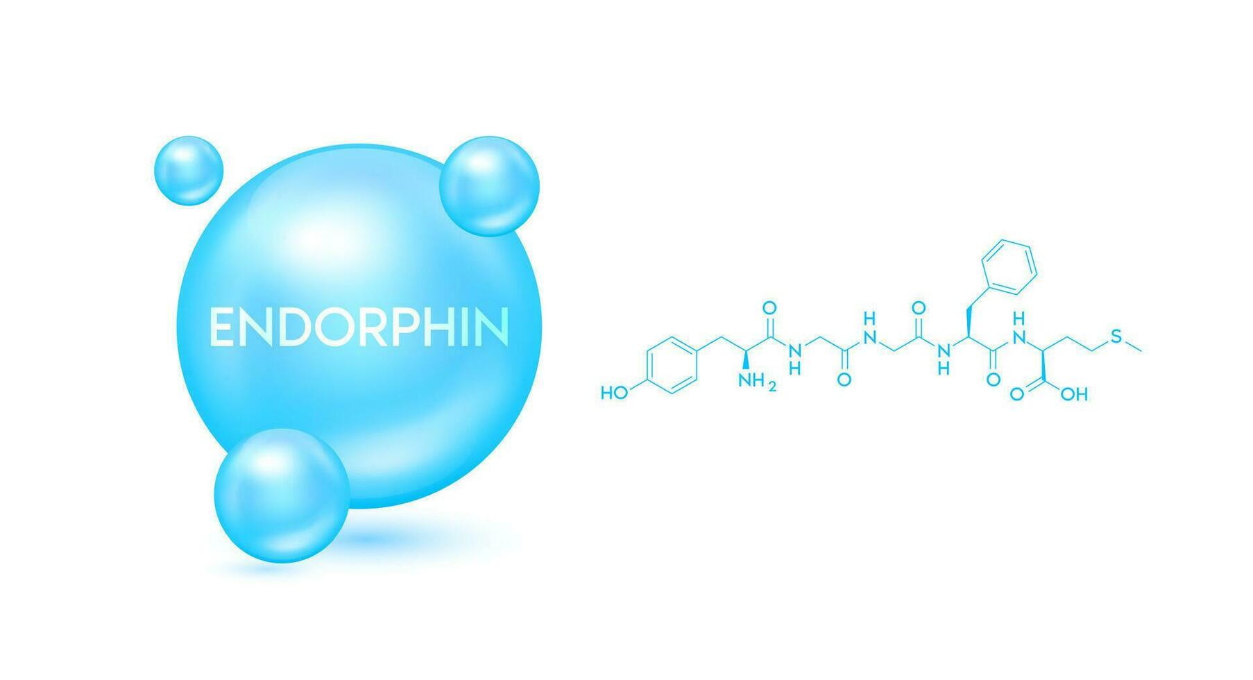 Endorphin Modell- Blau und strukturell chemisch Formel. Symbol 3d Symbol isoliert auf Weiß Hintergrund. Hormon im Mensch Gehirn. medizinisch wissenschaftlich Konzepte. Vektor Folge10.