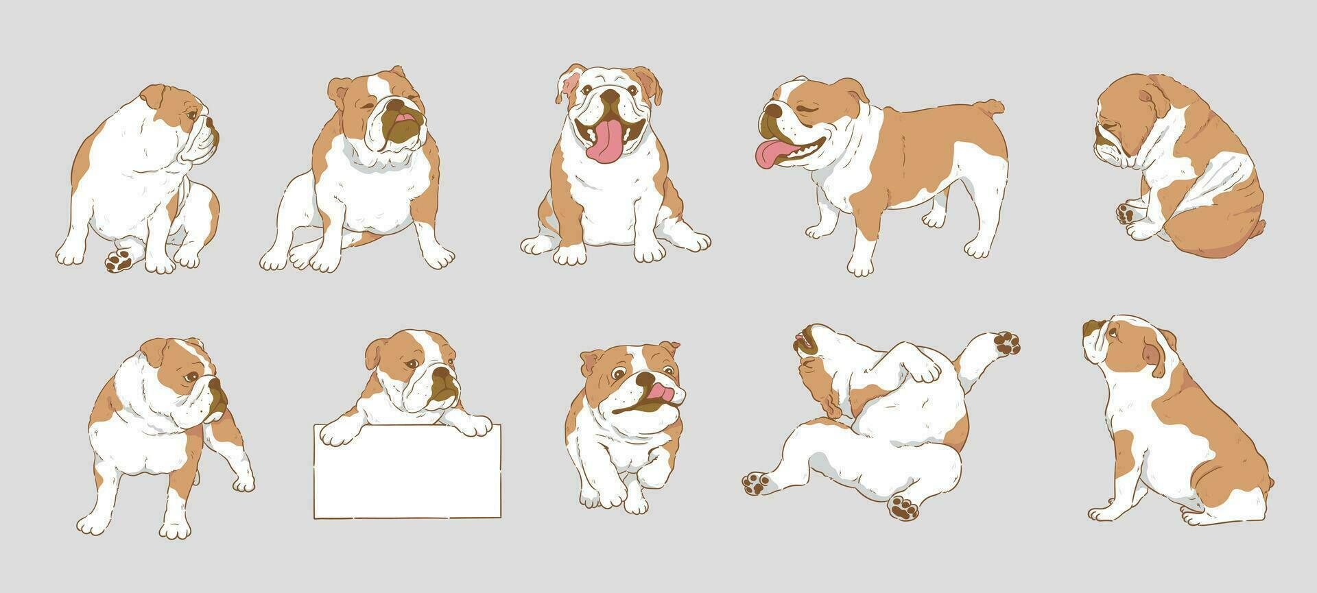 söt tecknad serie engelsk bulldogg eller brittiskt bulldogg uppsättning vektor