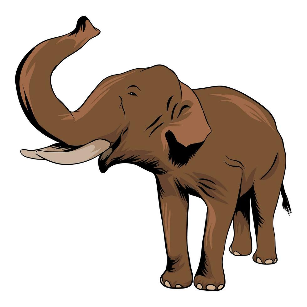 Elefant im Karikatur Stil auf Weiß Hintergrund Illustration vektor