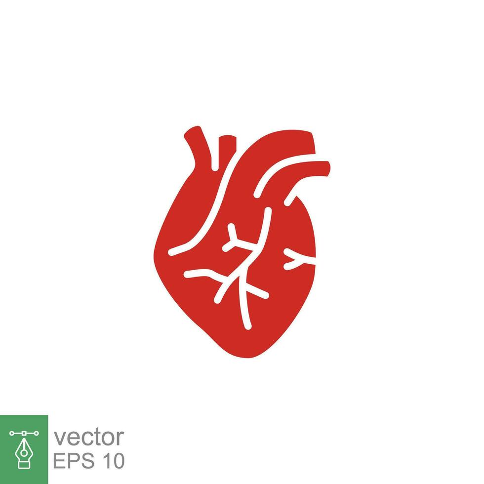 röd mänsklig hjärta ikon. enkel fast, platt stil. inre organ, verklig, kardiologi, hjärt- anatomi, medicinsk begrepp. silhuett, glyf symbol. vektor illustration isolerat på vit bakgrund. eps 10.