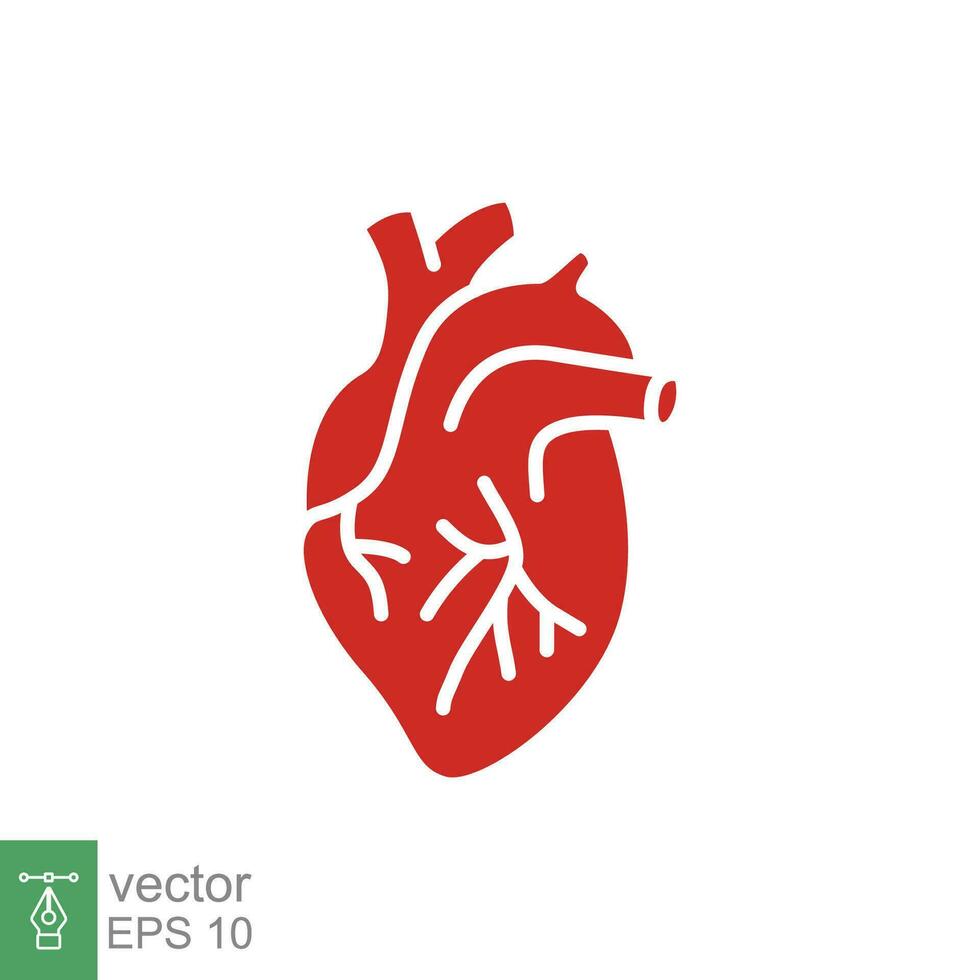 röd mänsklig hjärta ikon. enkel fast, platt stil. inre organ, verklig, kardiologi, hjärt- anatomi, medicinsk begrepp. silhuett, glyf symbol. vektor illustration isolerat på vit bakgrund. eps 10.