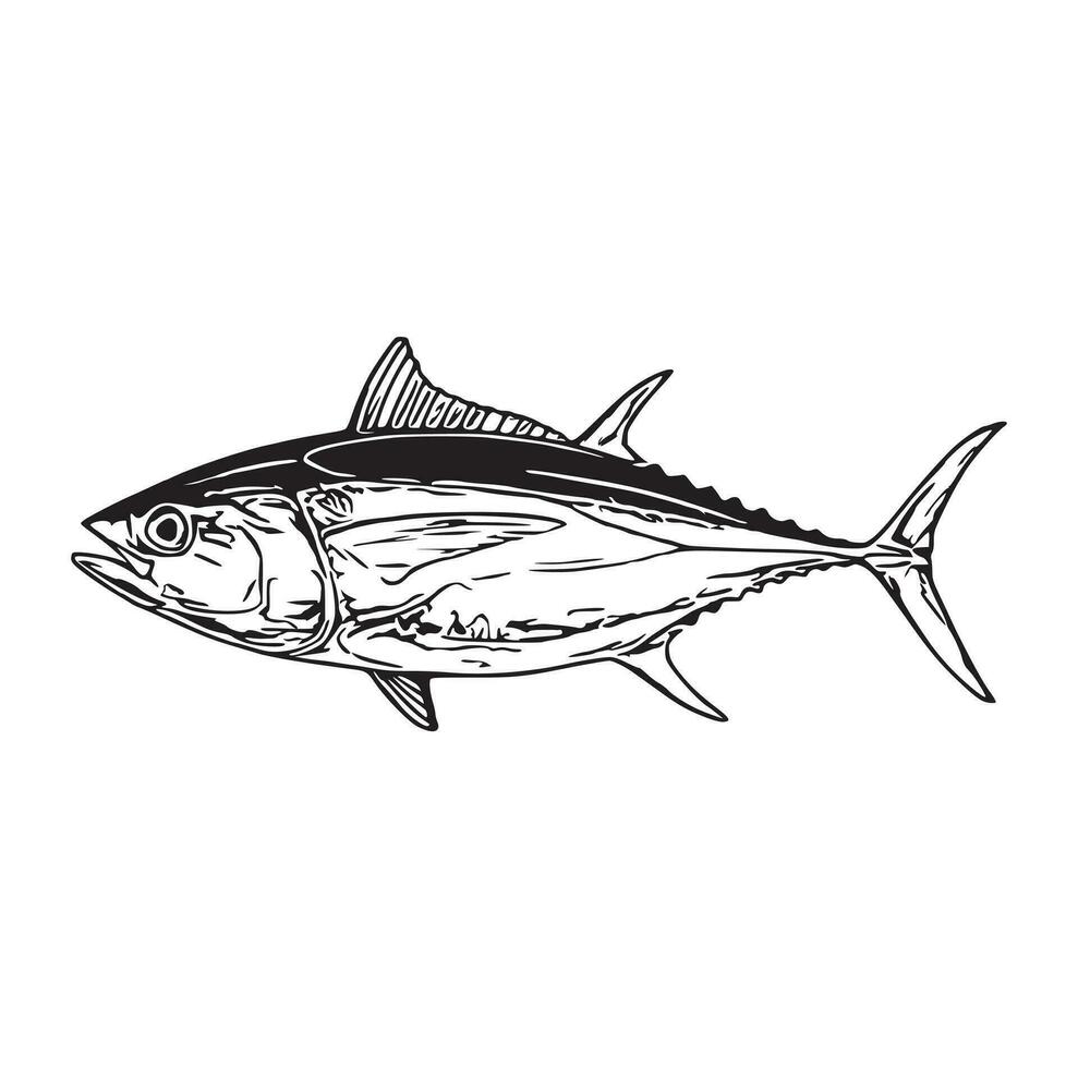 schwarz und Weiß von Forellenhals Bass Fisch vektor