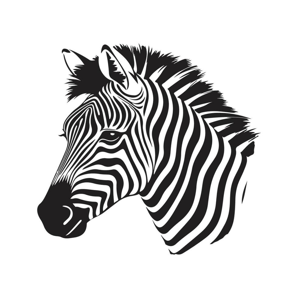 Zebra, Jahrgang Logo Linie Kunst Konzept schwarz und Weiß Farbe, Hand gezeichnet Illustration vektor