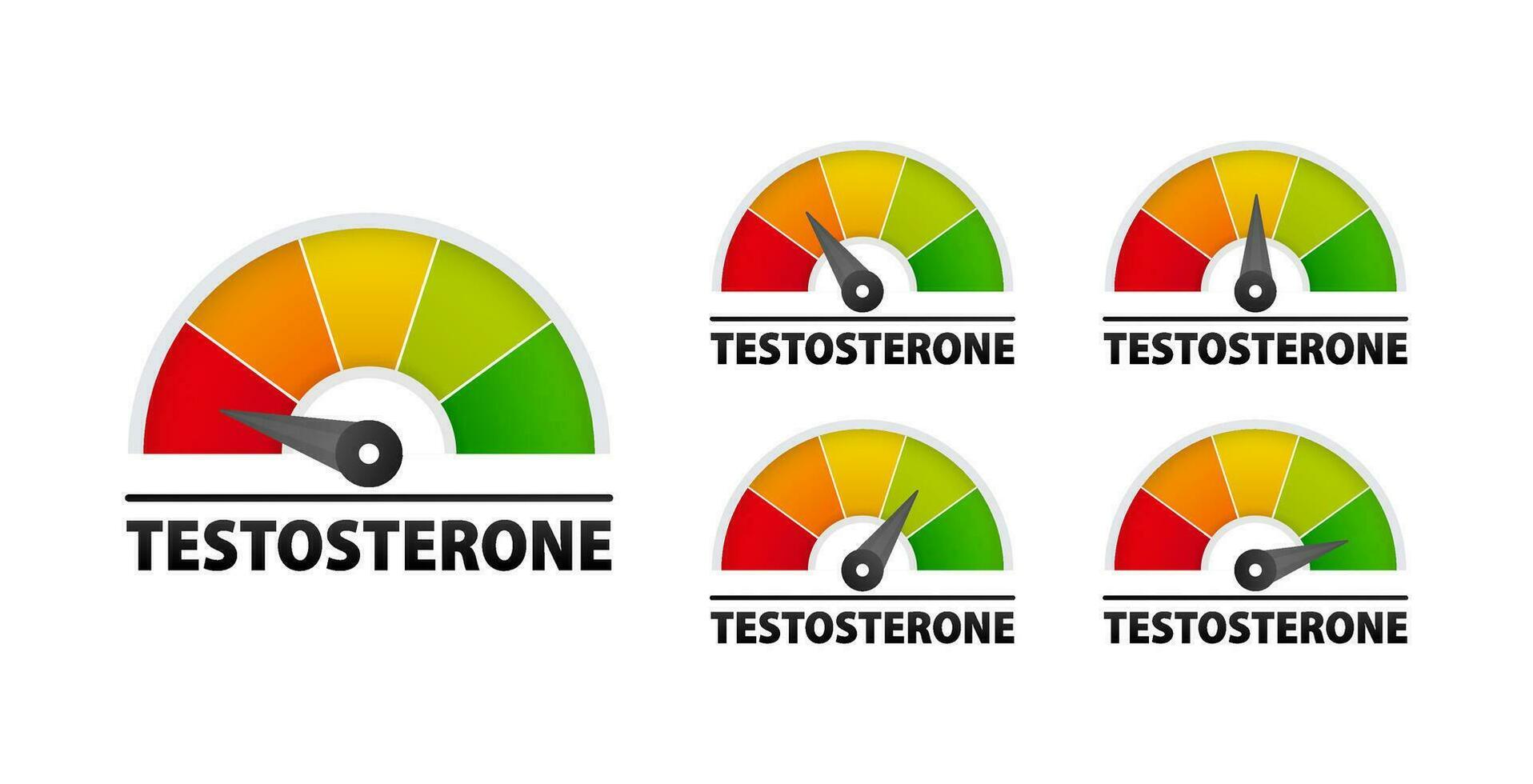 testosteron nivå doserings skala. spårning och hantera din hormonell hälsa för optimal välbefinnande vektor