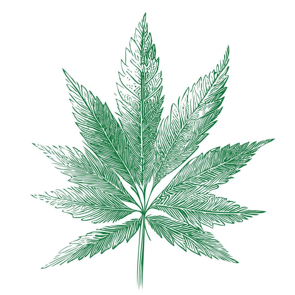 marijuana blad skiss hand dragen i klotter stil vektor illustration