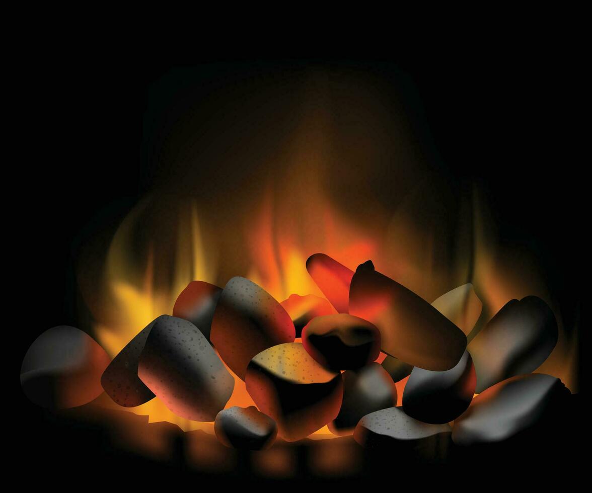 Feuer von Verbrennung Kohlen auf schwarz Hintergrund vektor