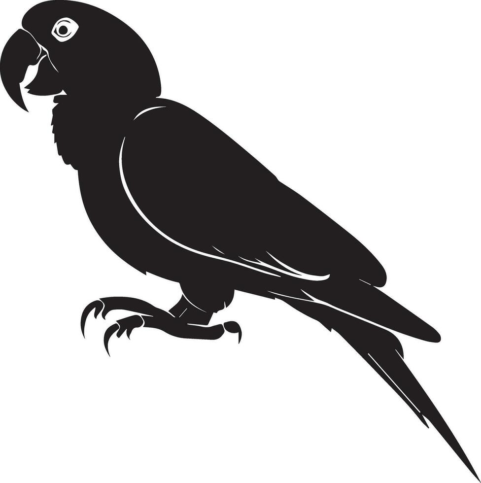 papegoja vektor silhuett illustration