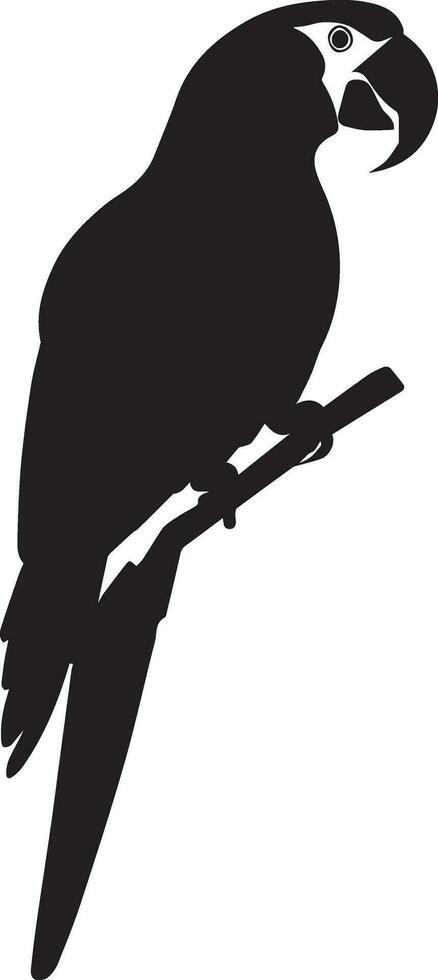 Papagei Vektor Silhouette Illustration