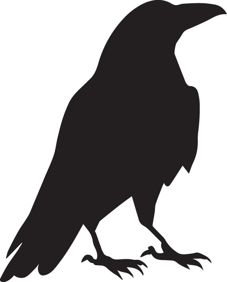 Krähe Vektor Silhouette Illustration schwarz Farbe