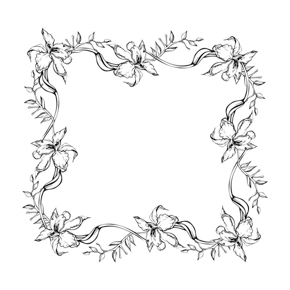 Hand gezeichnet Vektor Tinte Orchidee Blumen und Geäst, einfarbig, detailliert Umriss. horizontal Rahmen Komposition. isoliert auf Weiß Hintergrund. Design zum Mauer Kunst, Hochzeit, drucken, Tätowierung, Abdeckung, Karte.