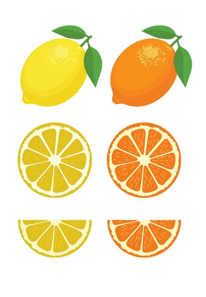 einstellen von Zitrone Scheibe Zitrone Obst und Blatt Vektor Illustration.