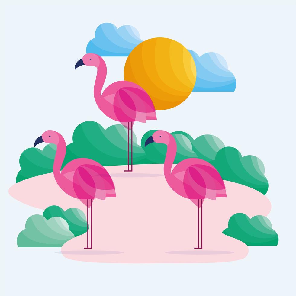 flamingo fåglar tropiska vektor