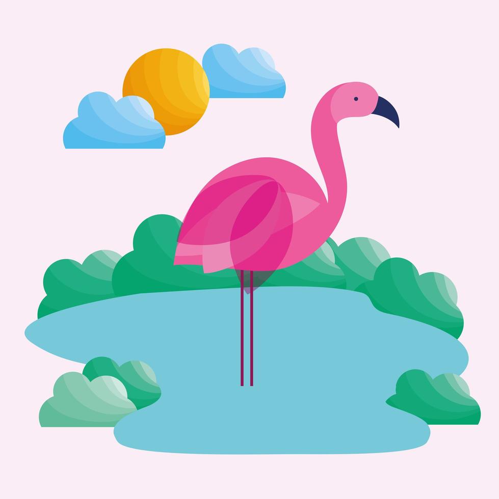 Flamingo auf Wasser vektor