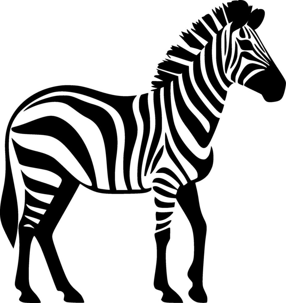 zebra, svart och vit vektor illustration