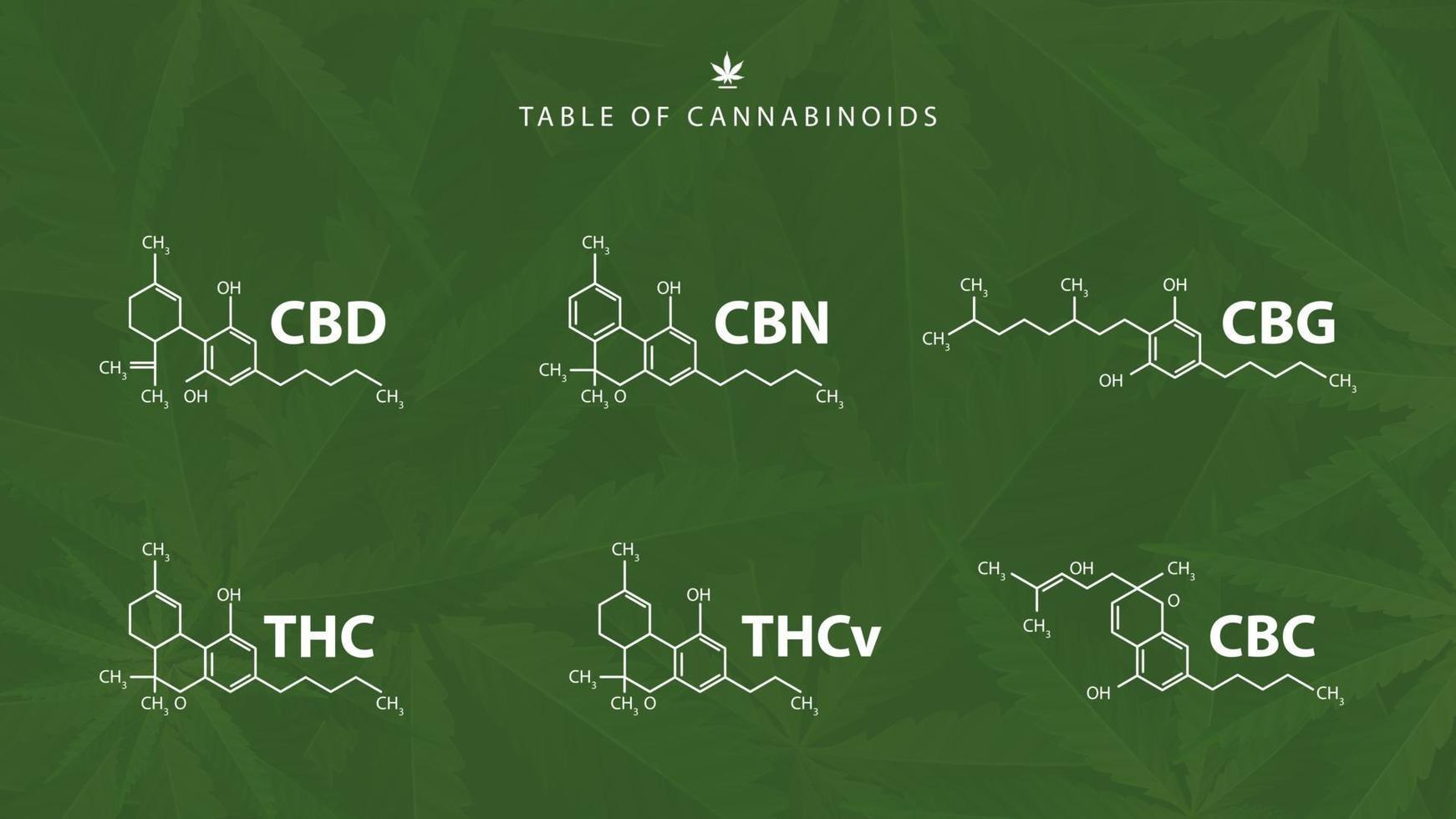 chemische Formeln natürlicher Cannabinoide auf grünem Hintergrund mit Cannabisblättern vektor