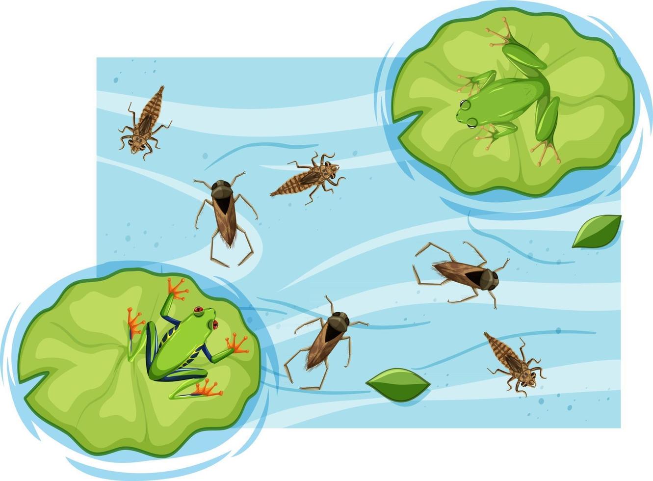 ovanifrån av vattenlevande insekter i dammen vektor