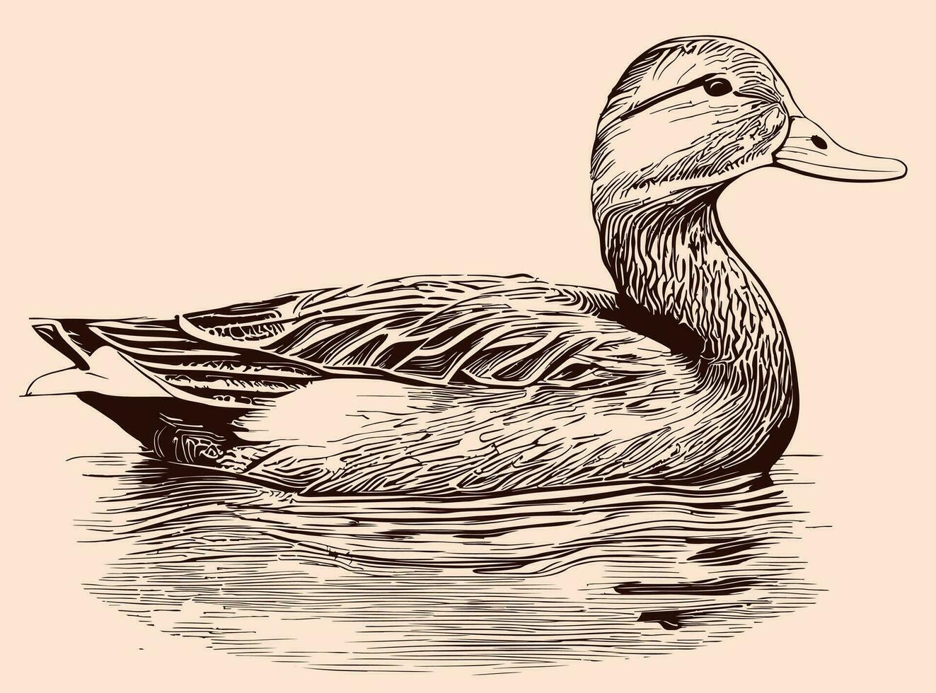 wild Ente Schwimmen skizzieren Hand gezeichnet im Gekritzel Stil Vektor Illustration