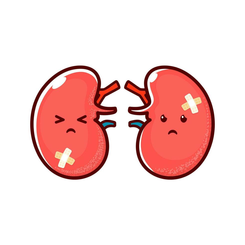 Karikatur krank Nieren Organ Charakter, ungesund vektor