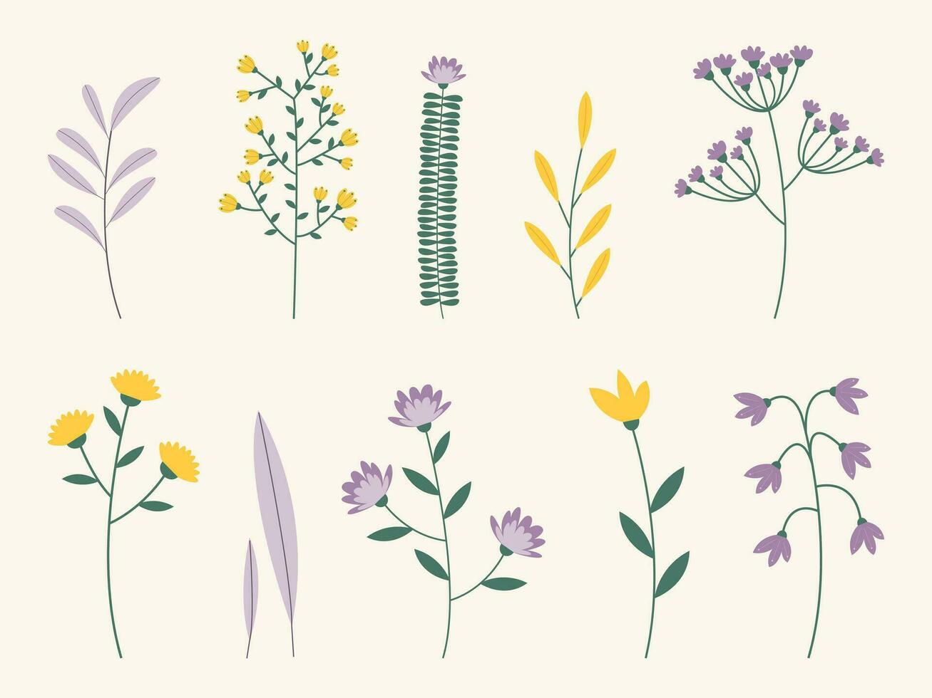 Sammlung von isoliert Blume und Kräuter- Clip Art. Vektor Illustration von Wildblumen im Pastell- sanft Farben.