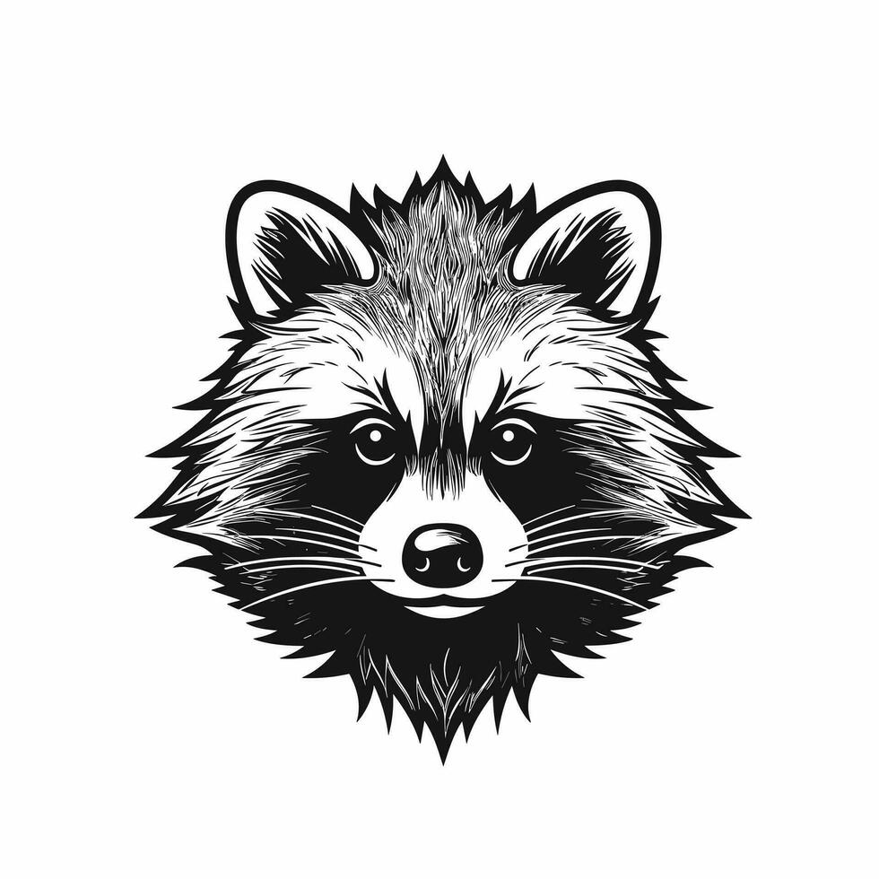 Waschbär Vektor süß Waschbär Karikatur Symbol