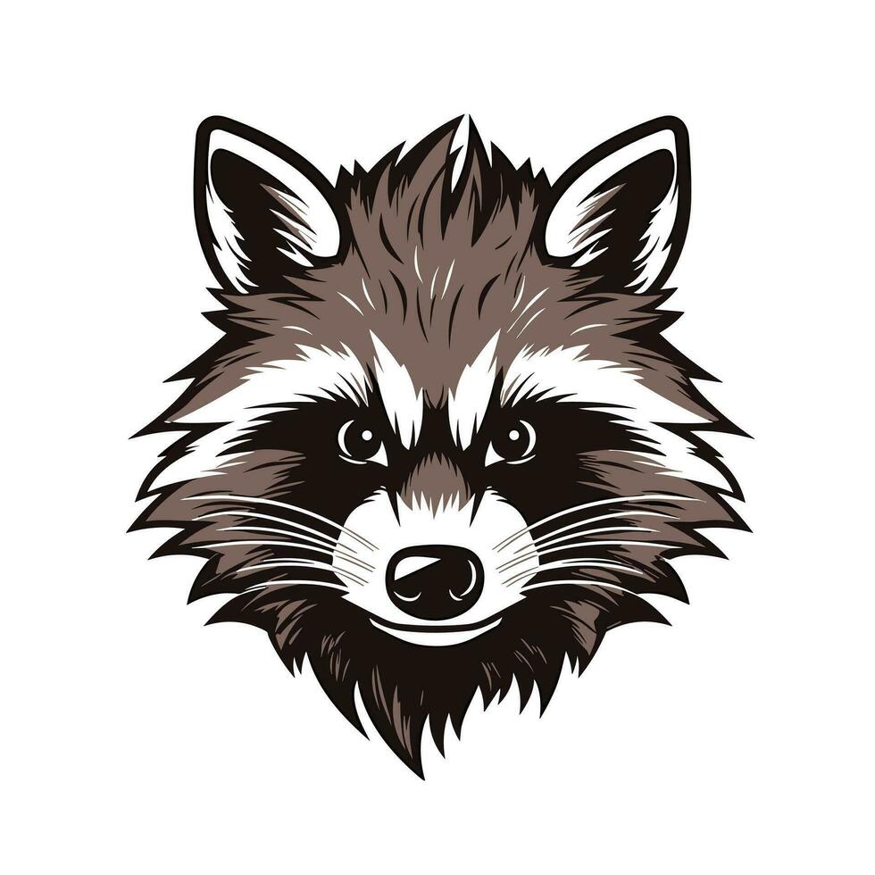 Waschbär Vektor süß Waschbär Karikatur Symbol