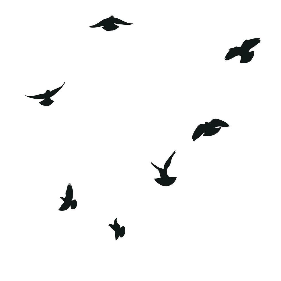 silhuett skiss av en flock av flygande fåglar, flyg i annorlunda positioner. sväva, stigande, landning, flygande, fladdra vektor