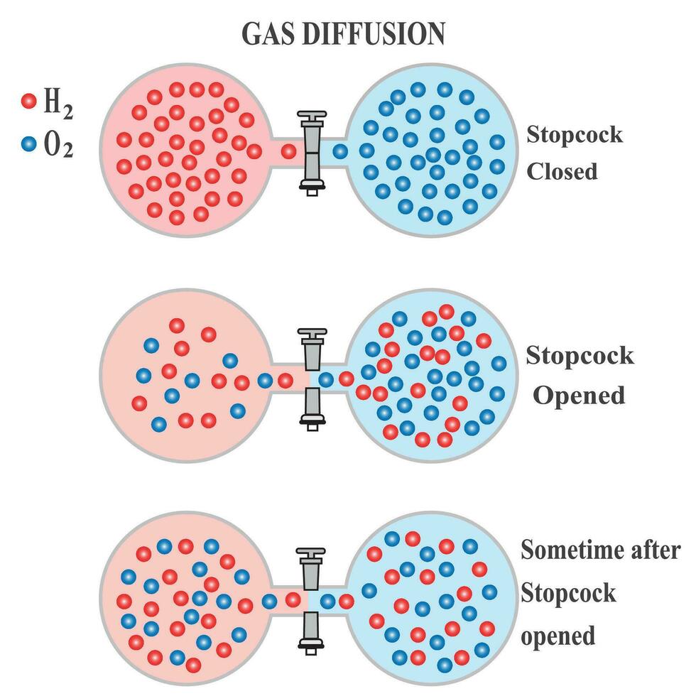 gas diffusion fenomen av syre och väte i gasformig stat i experimentera behållare rör med kran stängd öppnad och efter någon gång, fysik kemi begrepp vektor