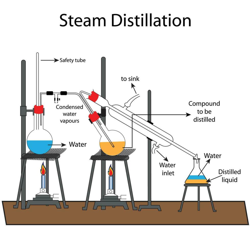 ånga destillation, en separation bearbeta den där består i destillering vatten tillsammans med Övrig flyktig och icke-flyktiga komponenter. vektor