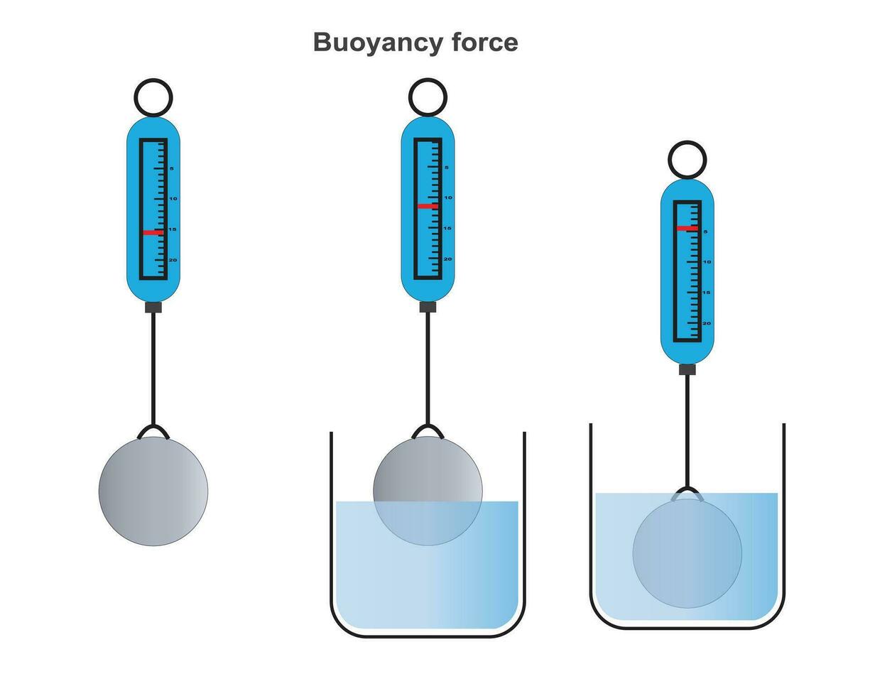 archimedes Auftrieb Prinzip, lebhaft Gewalt. vektor