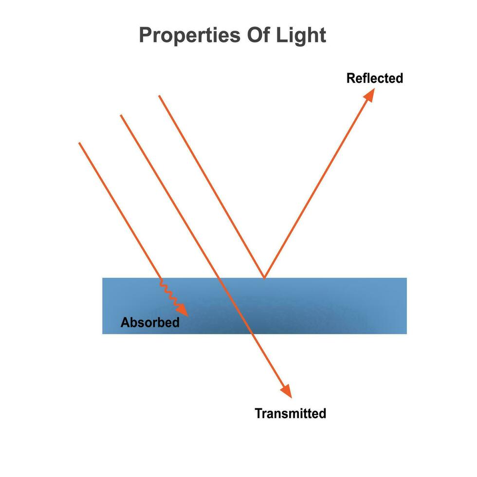 egenskaper av ljus vektor