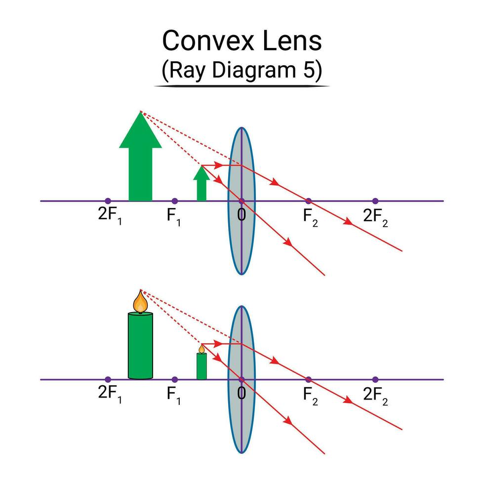 konvex lins stråle diagram 5 vektor