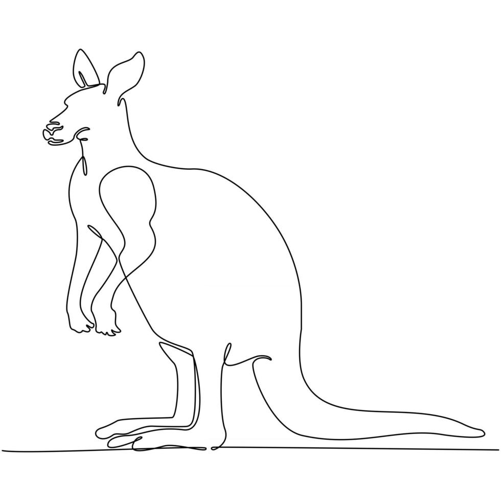 känguru kontinuerlig linje ritning vektorillustration vektor