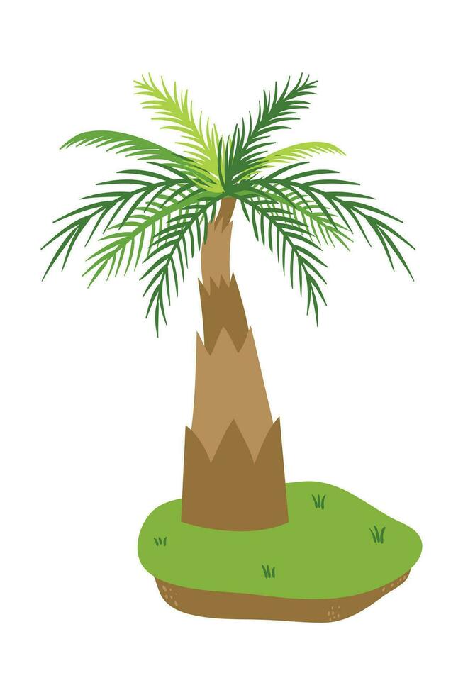 Palme Baum Illustration im eben Stil isoliert im Weiß Hintergrund. tropisch Sommer- Pflanze Illustration. vektor