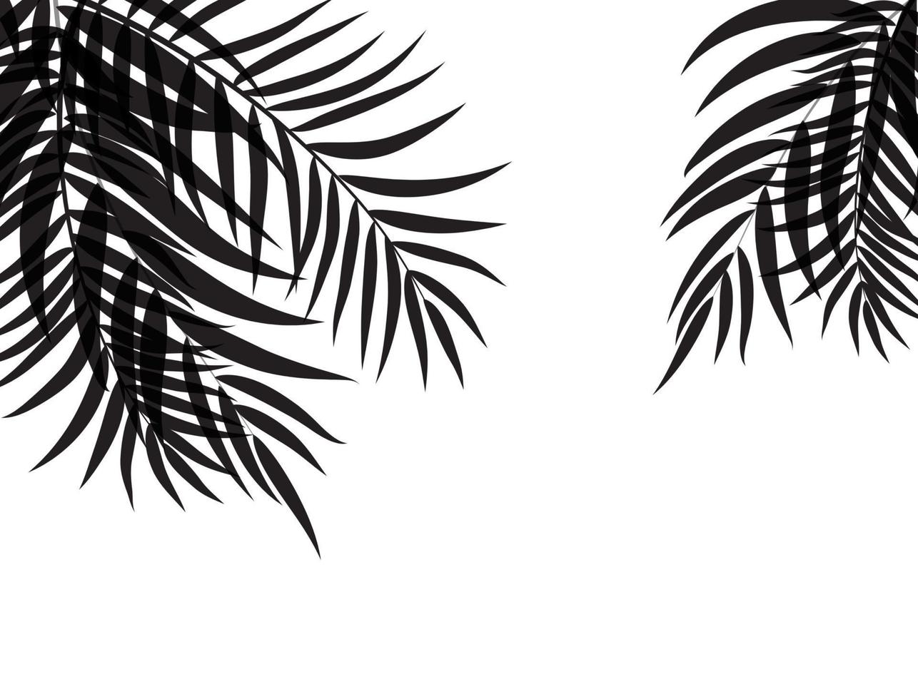 beautifil palmblad silhuett bakgrund vektorillustration vektor