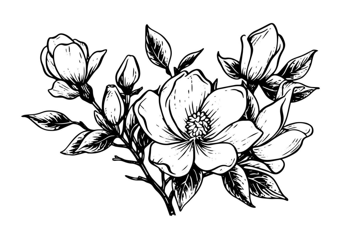 hand dragen magnolia blomma bläck skiss. gravyr stil vektor illustration.