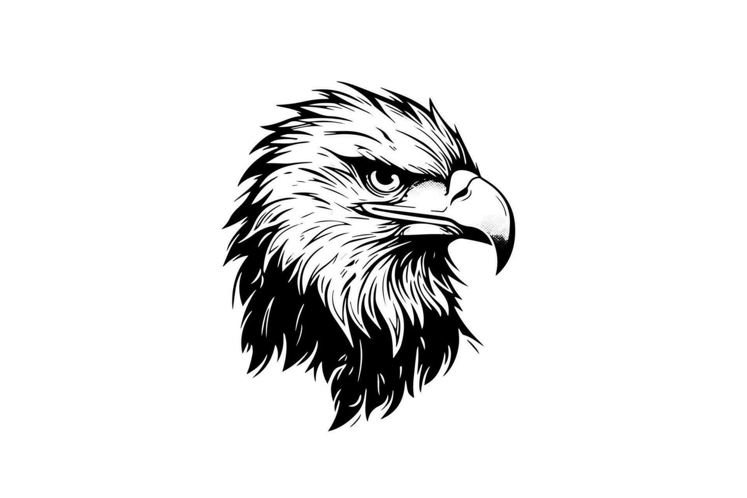 Adler Kopf Logo Maskottchen im Gravur Stil. Vektor Illustration von Zeichen oder markieren.