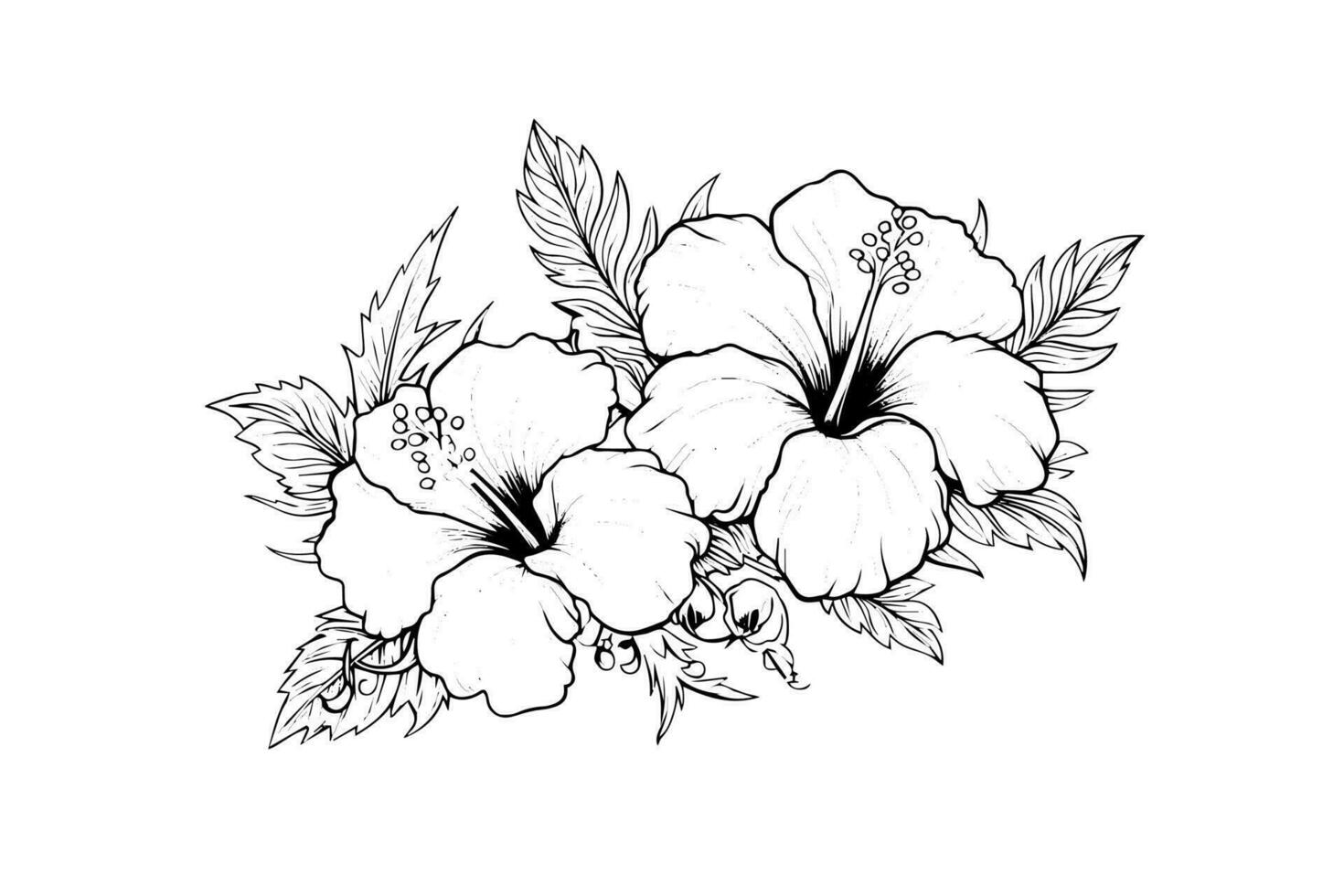 hibiskus blommor i en årgång träsnitt graverat etsning stil. vektor illustration.