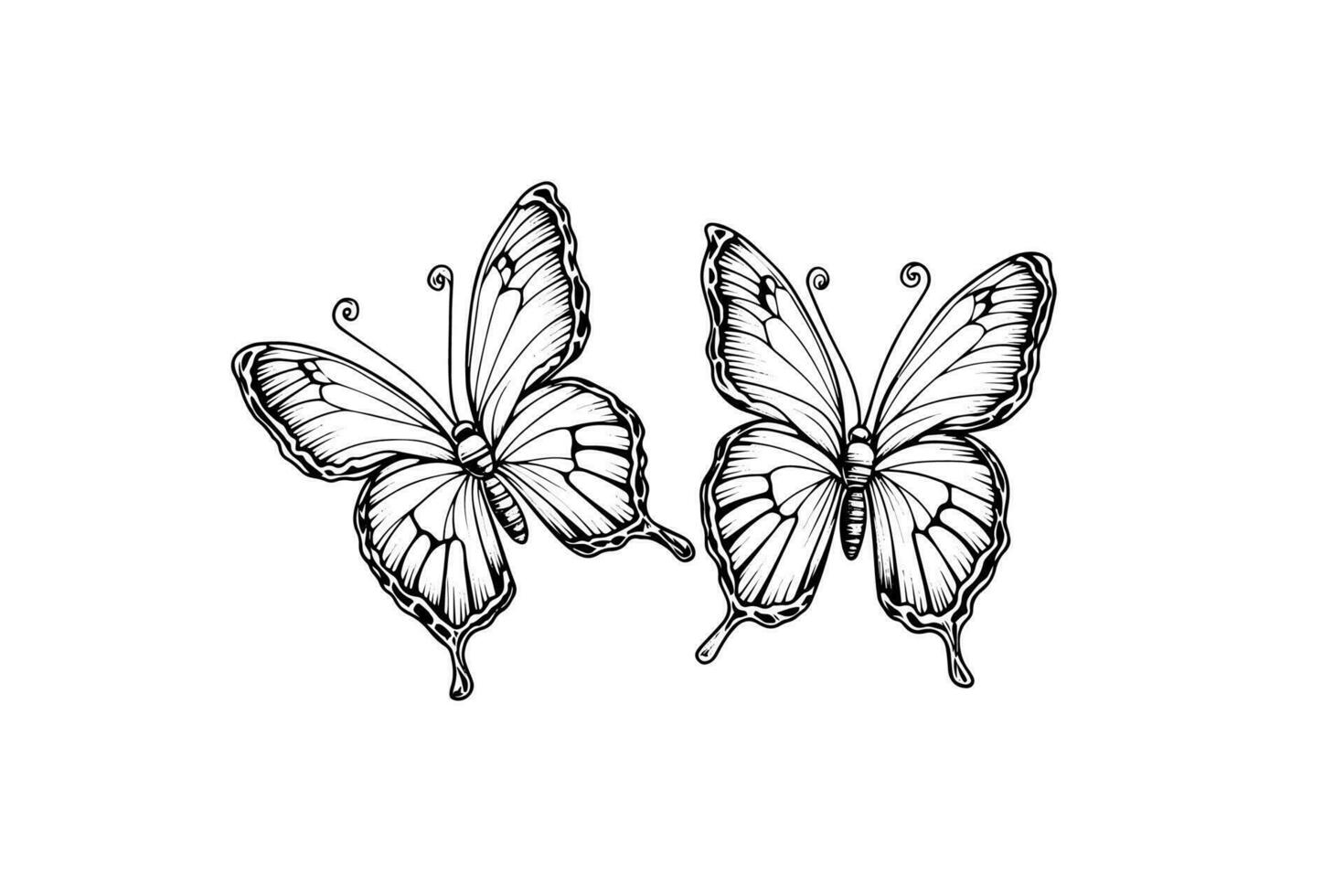 uppsättning av fjäril skiss. hand dragen gravyr stil vektor illustration.