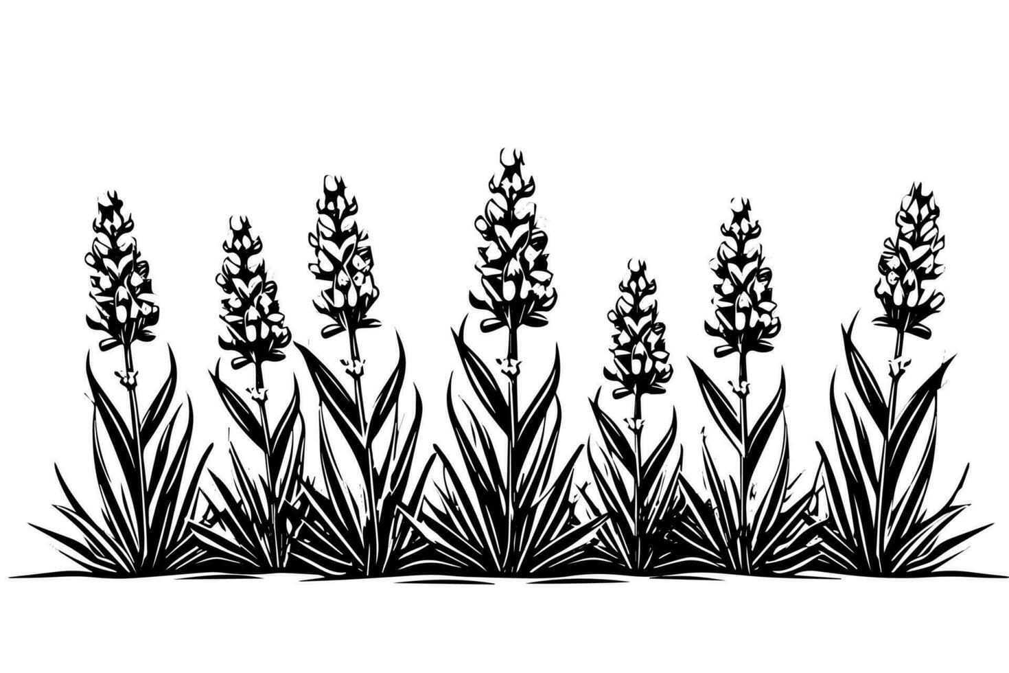 blommig botanisk lavendel- blomma hand dragen bläck skiss. vektor gravyr illustration.