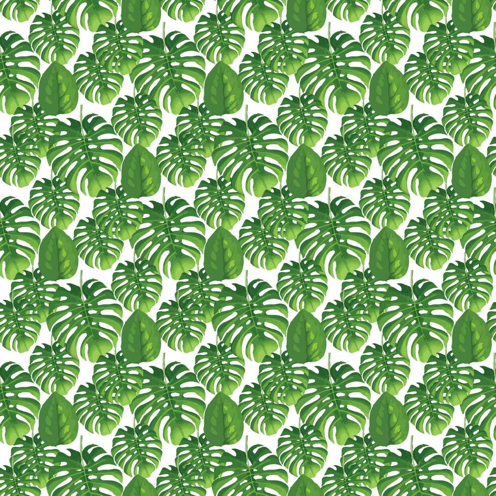 tropisk monstera blad på vit bakgrund sömlös mönster design vektor