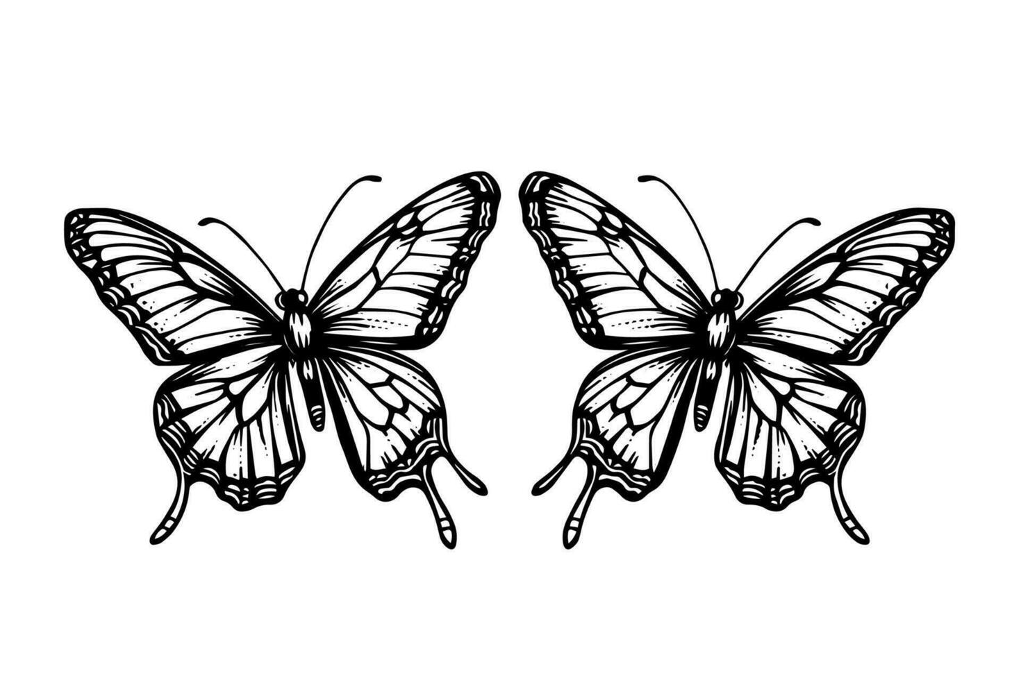 uppsättning av fjäril skiss. hand dragen gravyr stil vektor illustration.